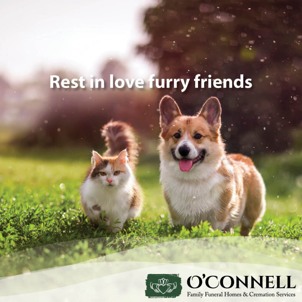 social media marketing for o'connell funeral homes
